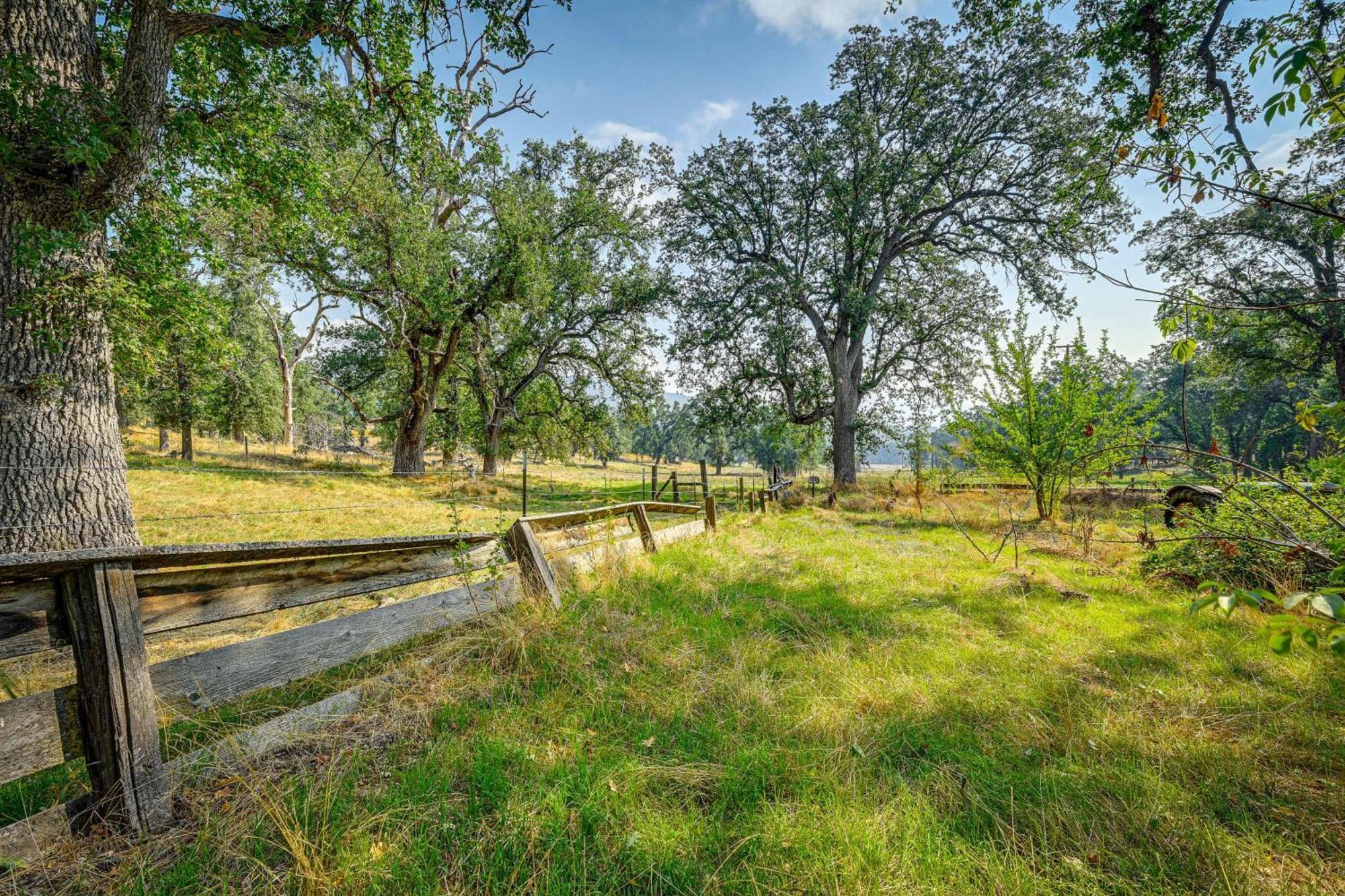 Cozy Family-Friendly Badger Retreat With Fireplace! Εξωτερικό φωτογραφία