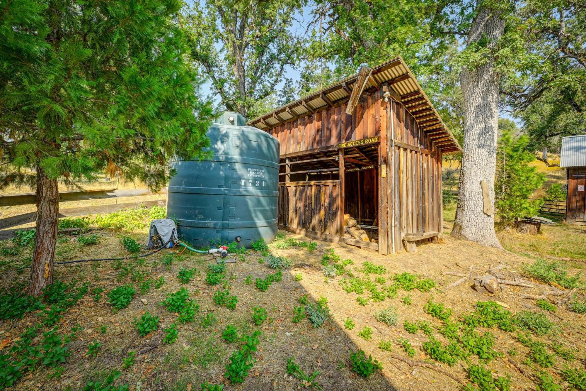 Cozy Family-Friendly Badger Retreat With Fireplace! Εξωτερικό φωτογραφία